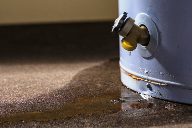 Best 24-hour water damage restoration  in Glenwood, IL
