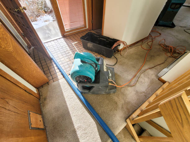 Water damage restoration mold remediation in Glenwood, IL
