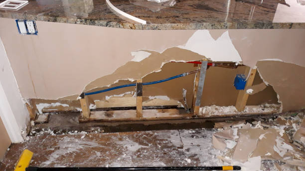 Best Sewage cleanup and water damage restoration  in Glenwood, IL