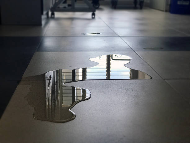Best Local water damage restoration  in Glenwood, IL