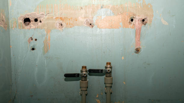 Best Ceiling water damage repair  in Glenwood, IL