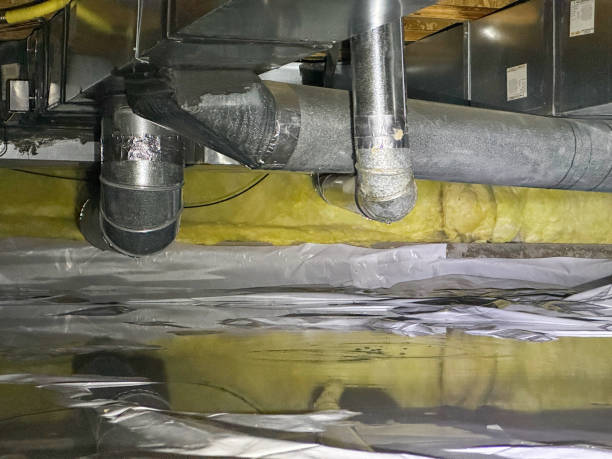 Best 24-hour water damage restoration  in Glenwood, IL