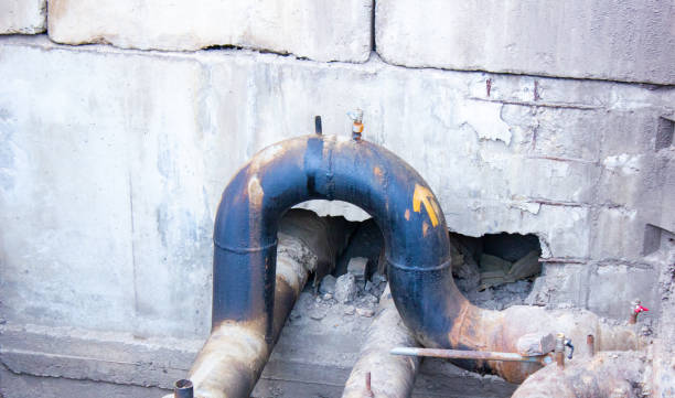 Best Carpet water damage restoration  in Glenwood, IL
