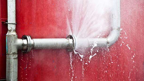 Best Carpet water damage restoration  in Glenwood, IL