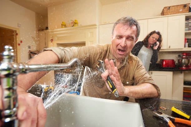 Best Mold removal after water damage  in Glenwood, IL